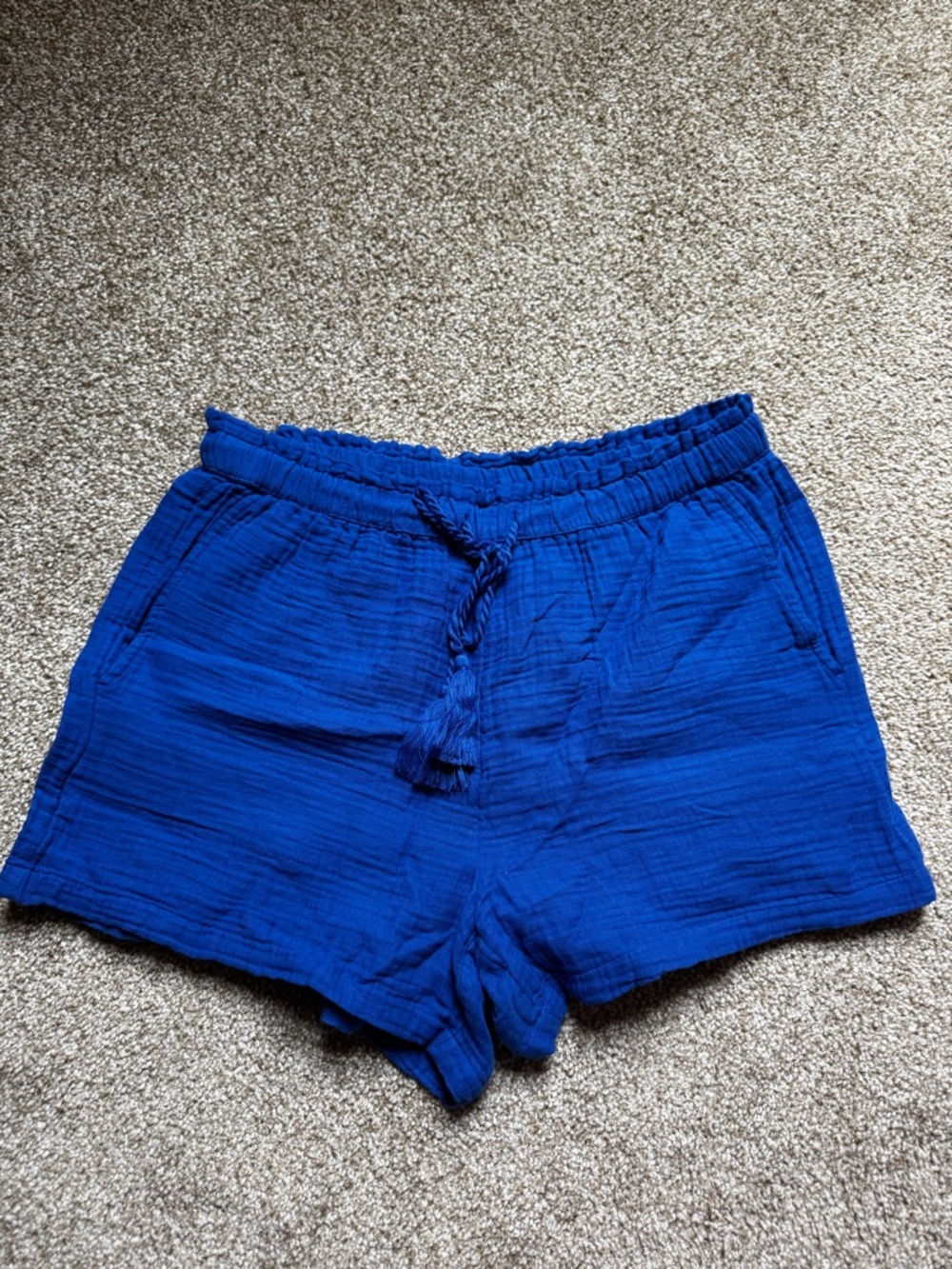 LOFT Royal Blue Drawstring Athletic Shorts